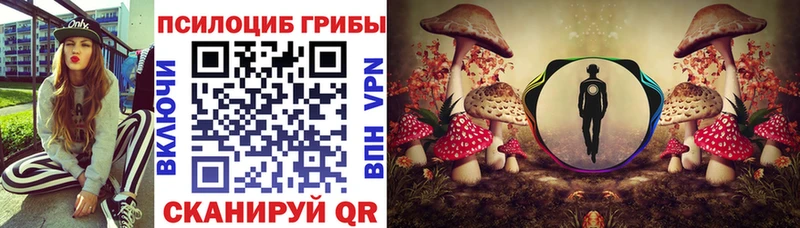Галлюциногенные грибы Magic Shrooms  Купить где  Киреевск 